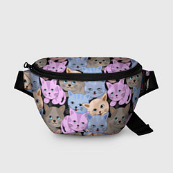 Поясная сумка Cats party, цвет: 3D-принт