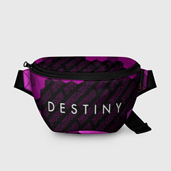 Поясная сумка Destiny pro gaming: надпись и символ