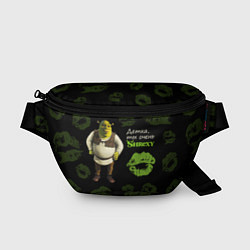 Поясная сумка Shrexy Shrek