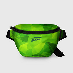 Поясная сумка Forza Horizon green poly