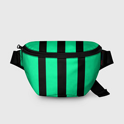 Поясная сумка Color turquoise black line