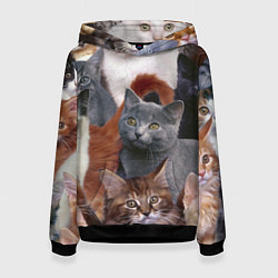 Толстовка-худи женская КОТЯТКИ, цвет: 3D-черный