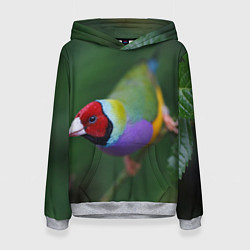 Толстовка-худи женская Яркая птичка попугай, цвет: 3D-меланж
