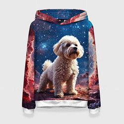 Толстовка-худи женская Бишон в космосе, цвет: 3D-белый