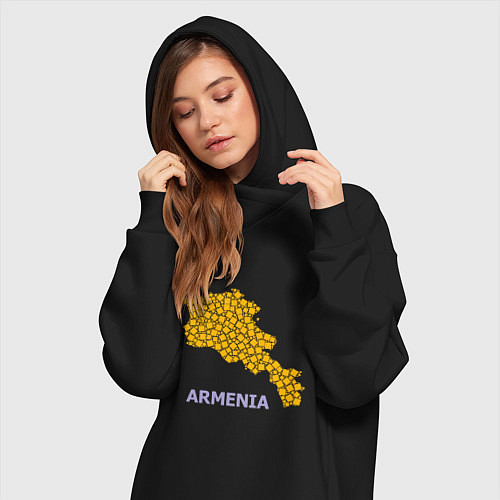 Женская толстовка-платье Golden Armenia / Черный – фото 3
