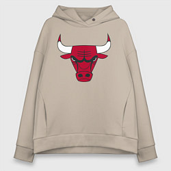 Женское худи оверсайз Chicago Bulls