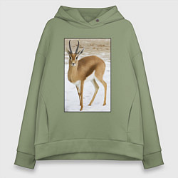 Толстовка оверсайз женская Газель на снегу, цвет: авокадо