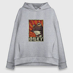 Толстовка оверсайз женская Obey frog, цвет: меланж
