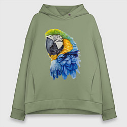 Толстовка оверсайз женская Сине-золотой попугай ара, цвет: авокадо
