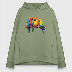 Толстовка оверсайз женская Разговор попугаев, цвет: авокадо
