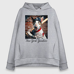 Толстовка оверсайз женская Bull terrier - New York yankees baseball team, цвет: меланж