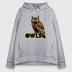 Толстовка оверсайз женская Owls, цвет: меланж