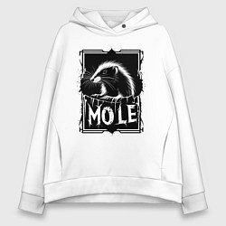 Женское худи оверсайз Крот в рамке