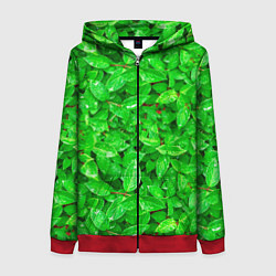 Толстовка на молнии женская Зелёные листья - текстура, цвет: 3D-красный