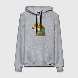 Толстовка-худи хлопковая женская Мудрая лягушка, цвет: меланж