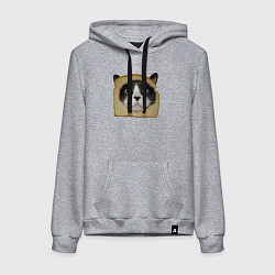 Женская толстовка-худи Котохлебинг