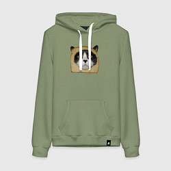 Толстовка-худи хлопковая женская Котохлебинг, цвет: авокадо