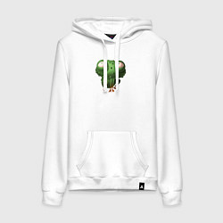 Женская толстовка-худи Большая зеленая лягушка