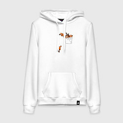 Женская толстовка-худи Красные панды в кармане