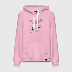 Женская толстовка-худи Почему самолет летает?