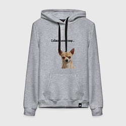 Женская толстовка-худи Собака съела товар