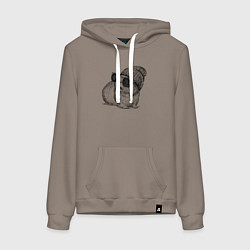 Женская толстовка-худи Морская свинка в очках и шапке