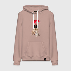 Женская толстовка-худи Мопс с ушками и котёнок