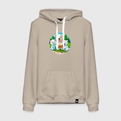 Женская толстовка-худи Белые медведи летом