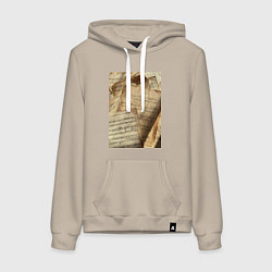 Женская толстовка-худи Листы с нотами