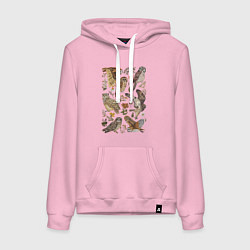 Женская толстовка-худи Разные совы и цветы