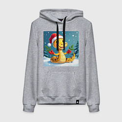 Женская толстовка-худи Символ 2025 нового года змея в шаке Санты