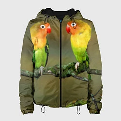 Куртка с капюшоном женская Два попугая, цвет: 3D-черный