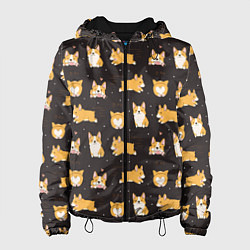 Куртка с капюшоном женская Вельш корги бемброк - забавные щенки паттерн, цвет: 3D-черный