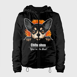 Женская куртка Чихуахуа Chihuahua