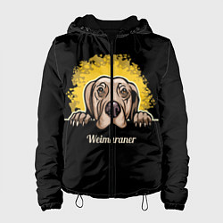 Женская куртка Веймаранер Weimaraner
