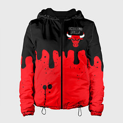 Куртка с капюшоном женская Chicago Bulls Чикаго Буллз Логотип, цвет: 3D-черный