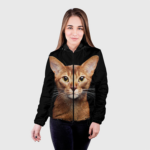 Женская куртка Молодая абиссинская кошечка / 3D-Черный – фото 4