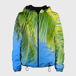 Женская куртка Пальма у неба