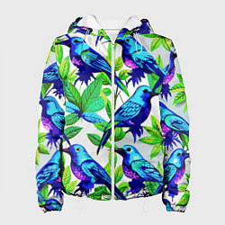 Женская куртка Паттерн маленькое синее колибри