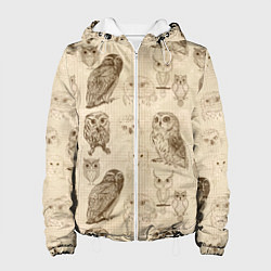 Куртка с капюшоном женская Эскизы сов тетрадный лист в клетку, цвет: 3D-белый