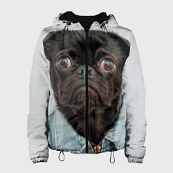 Женская куртка Мопс в джинсовке - голова групно