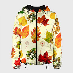 Женская куртка Осень