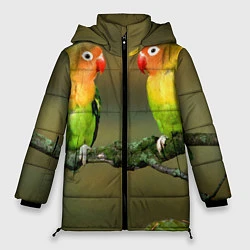 Женская зимняя куртка Два попугая