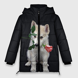 Куртка зимняя женская Щенок в подарок, цвет: 3D-черный