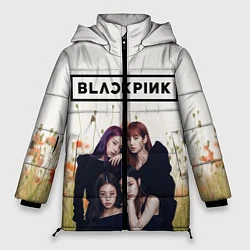 Куртка зимняя женская BlackPink, цвет: 3D-светло-серый