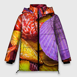 Женская зимняя куртка Разноцветные ракушки multicolored seashells