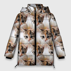 Куртка зимняя женская Маленький котенок паттерн, цвет: 3D-светло-серый