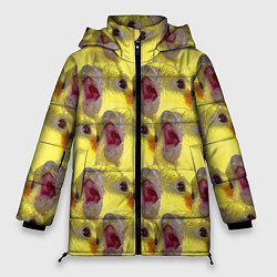 Куртка зимняя женская Попугай Корелла Орёт Мем, цвет: 3D-светло-серый