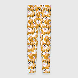 Женские легинсы Собаки Корги