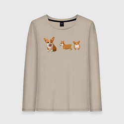 Лонгслив хлопковый женский Корги, цвет: миндальный